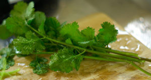 coriander