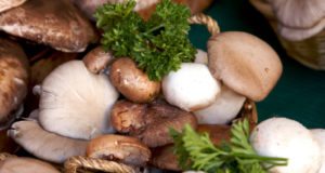 mushrooms - the healtiest foods