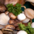 mushrooms - the healtiest foods