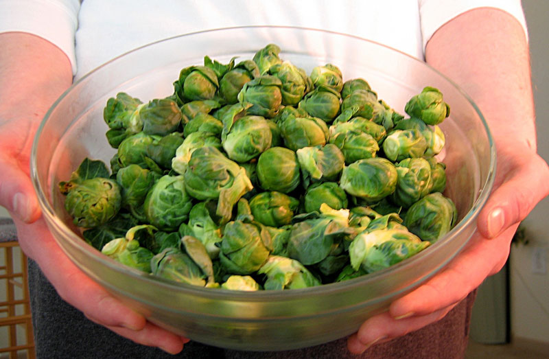 sprouts---eliminate-cellulite