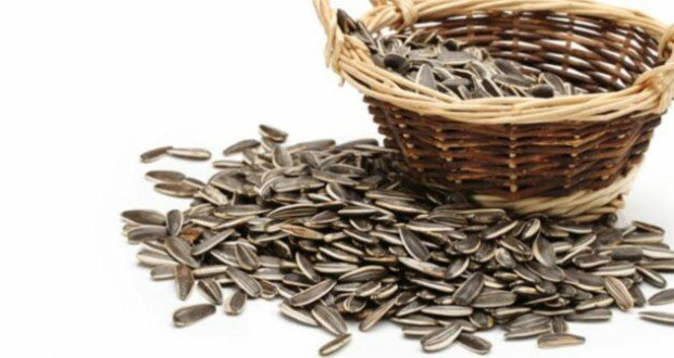 sunflower seeds