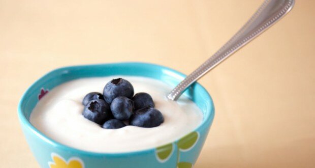 yogurt diet