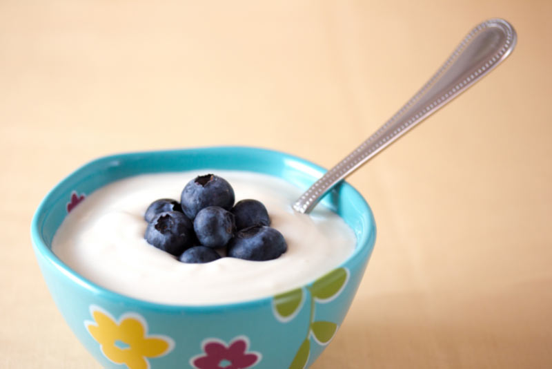 yogurt diet