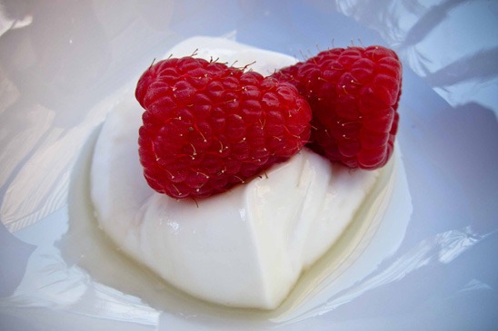 snacks yogurth