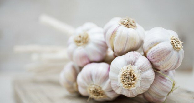 garlic